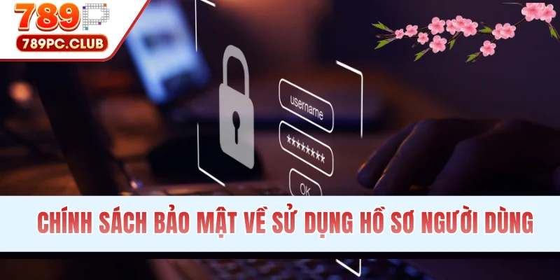 Chính sách bảo mật về sử dụng hồ sơ người dùng