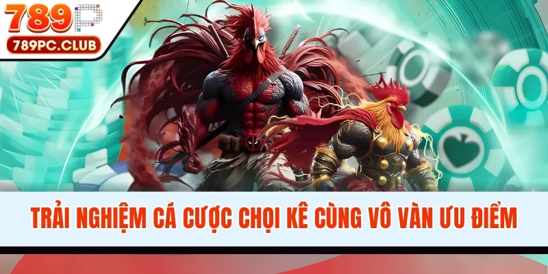 Trải nghiệm cá cược chọi kê cùng vô vàn ưu điểm